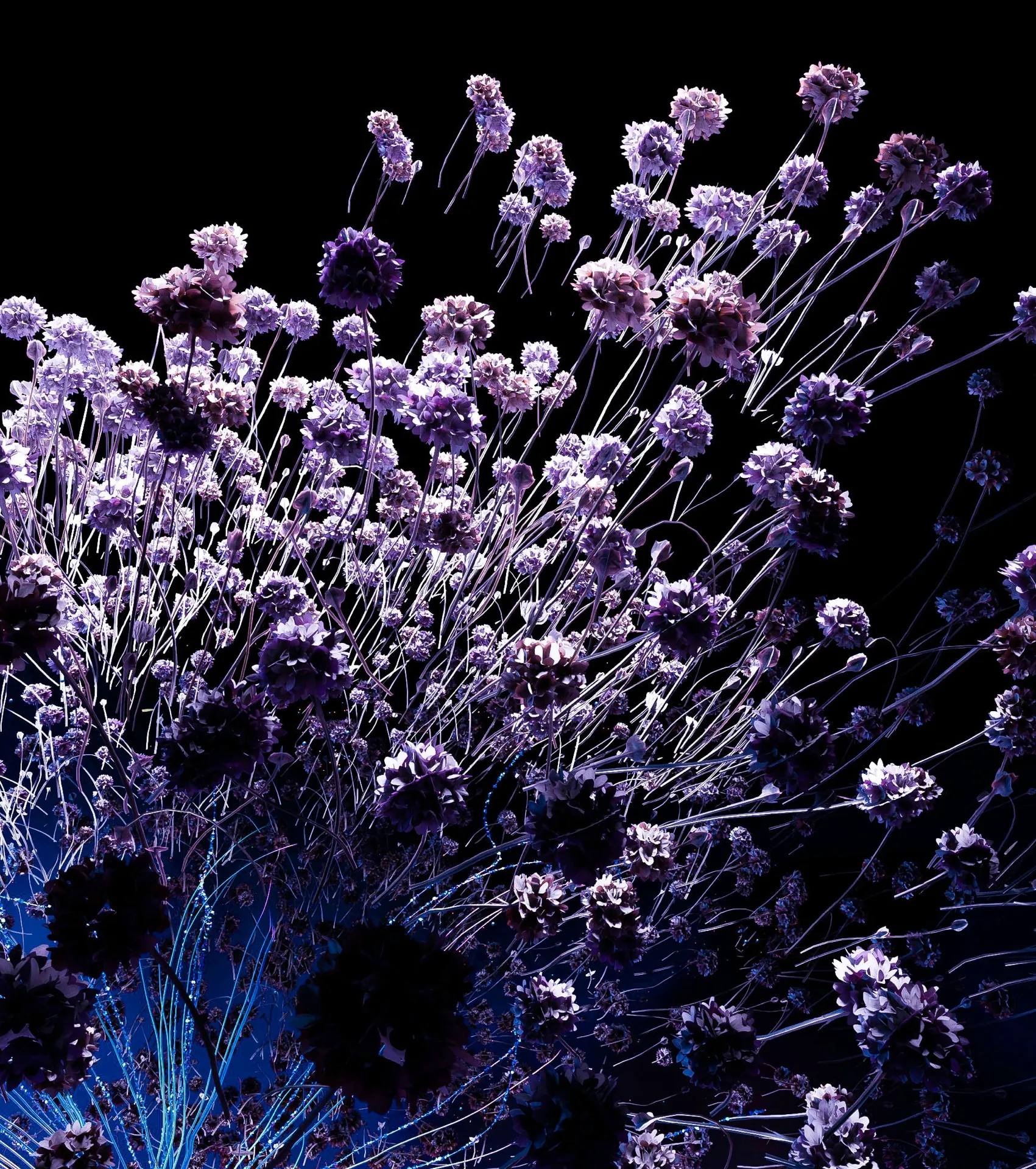 Xioami_MixFold3_Wallpaper_Amando_Rosales_Millarc34
