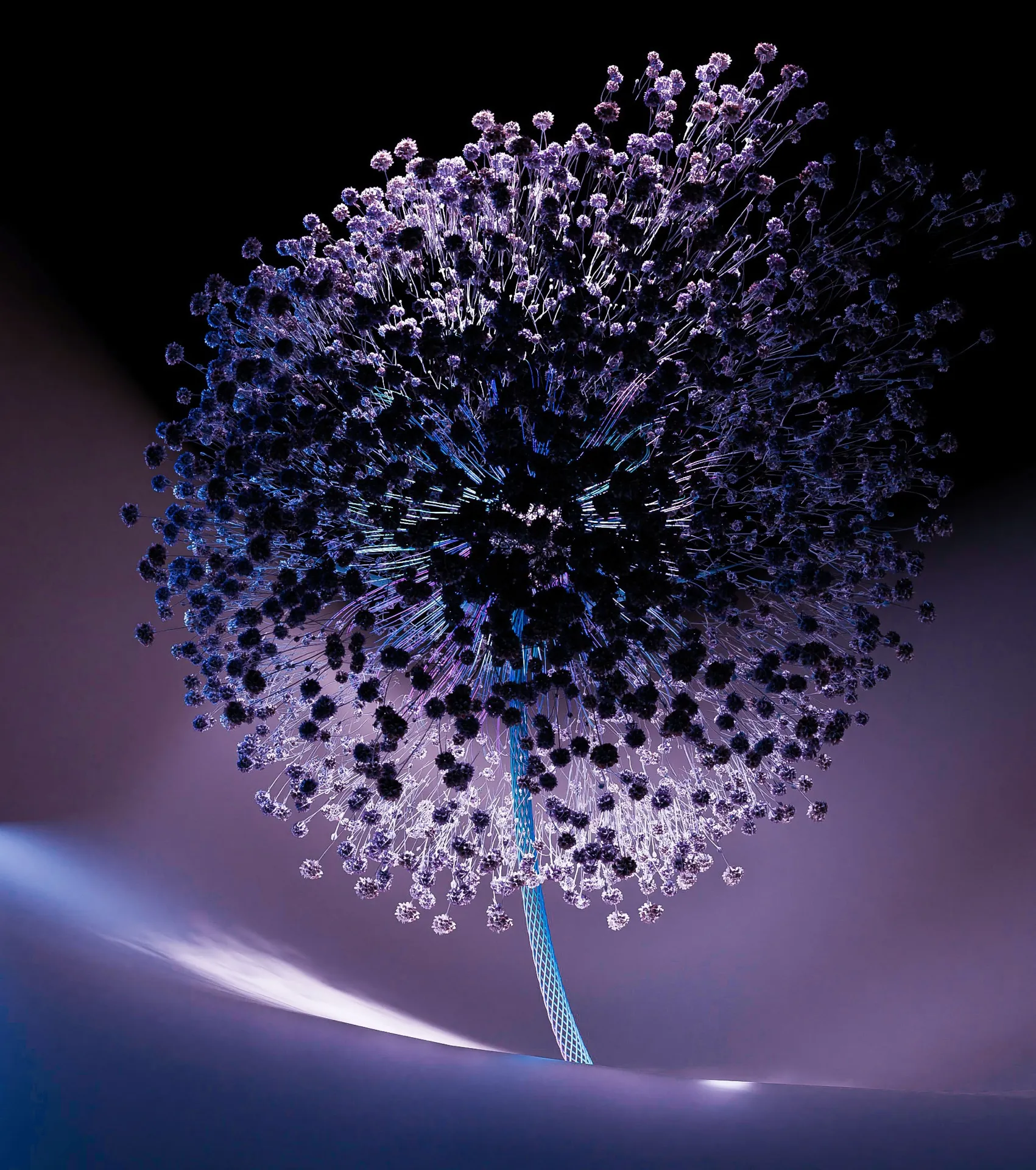 Xioami_MixFold3_Wallpaper_Amando_Rosales_Millarc38